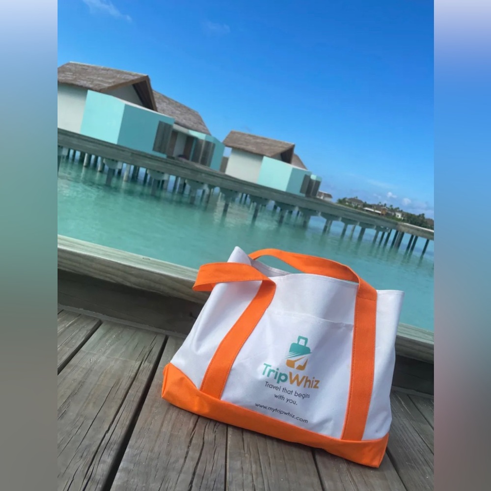 Everywhere travel tote